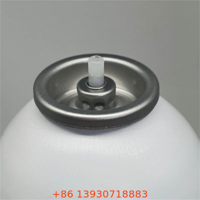 持続可能なリサイクル素材 温かい霧と皮膚の安全なコンポーネントを備えたエコブランドのためのアクチュエータ付き反透噴霧バルブ