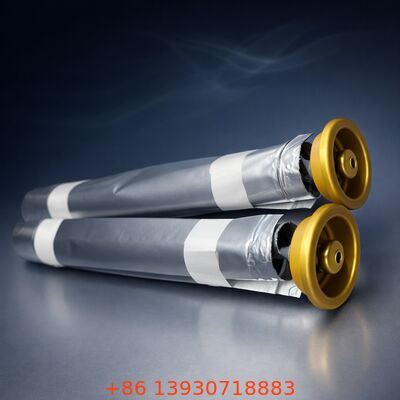Advanced Female Aerosol Bag-on-Valve with Eco-Friendly Packaging, One-inch Size, and Tinplate Material